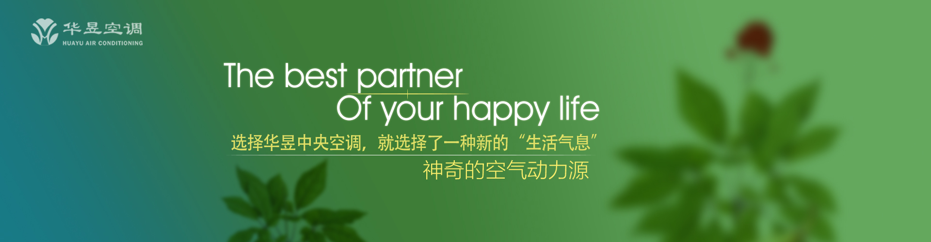 龙举云兴网